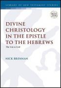  Divine christology in the epistle to the Hebrews : the son as God 